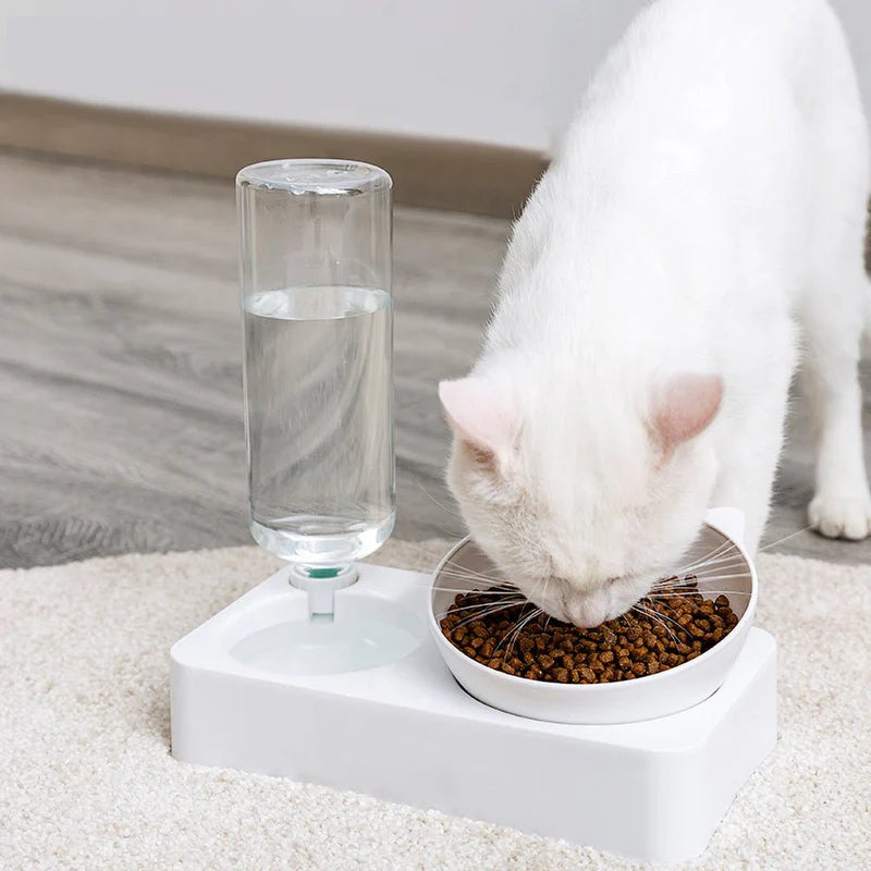 Double Bowl Automatic Drinking Bowl